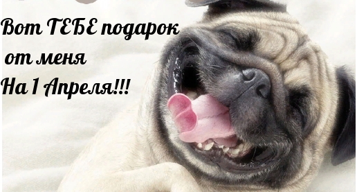Вот ТЕБЕ подарок от меня На 1 Апреля!