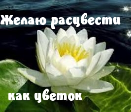 Желаю расцвести как цветок
