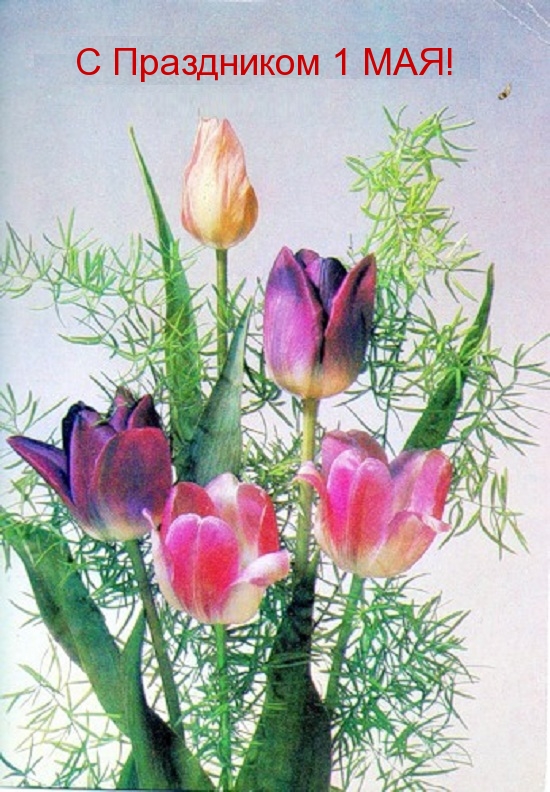 С Праздником 1 МАЯ!