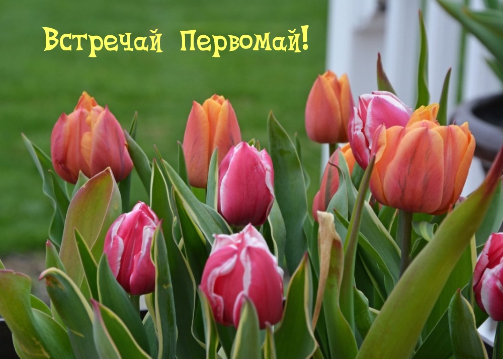 Встречай Первомай!