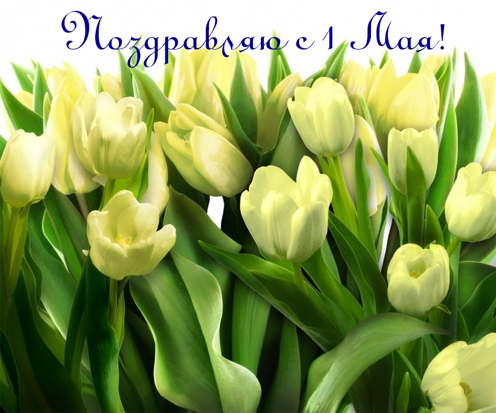 Поздравляю с 1 Мая!