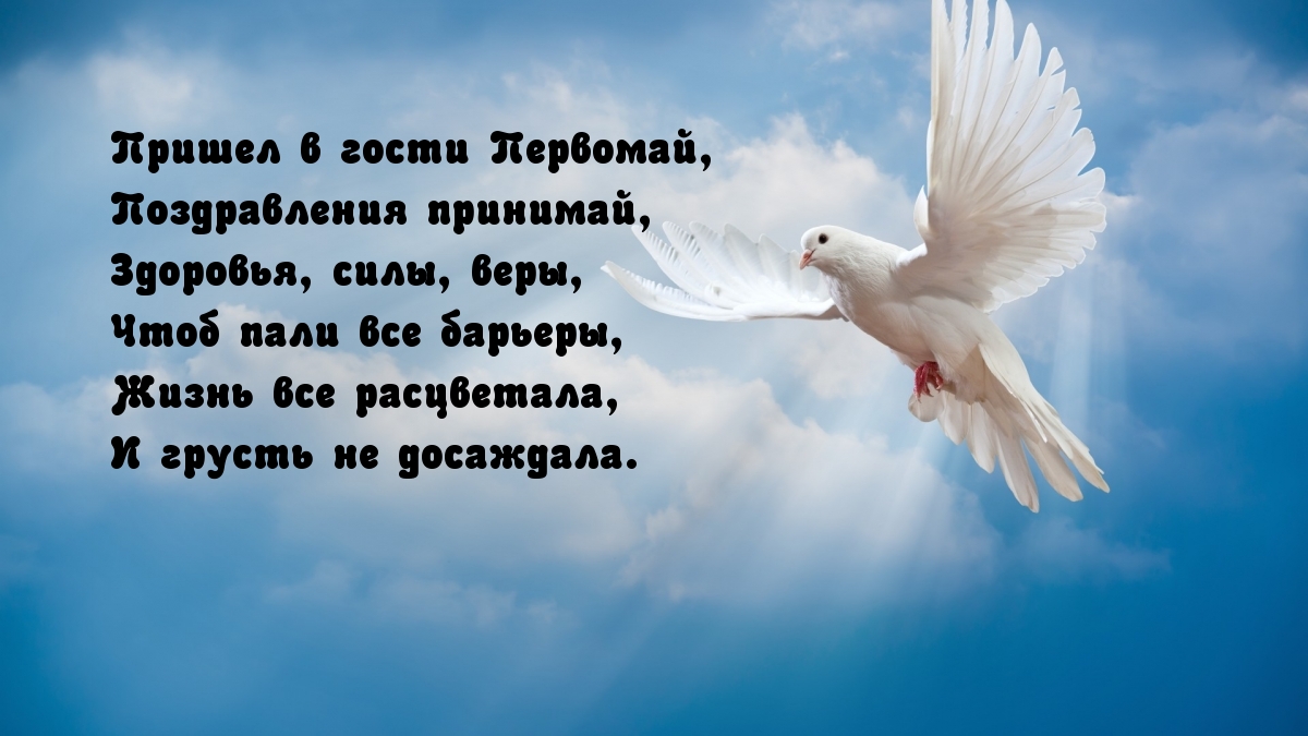 Пришел в гости Первомай!