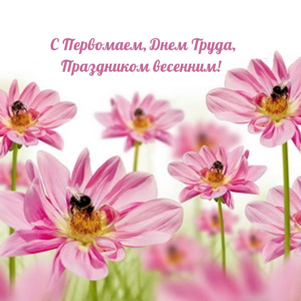 С Первомаем, Днем Труда, Праздником весенним!