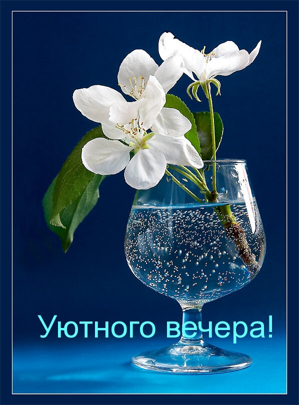 Уютного вечера!