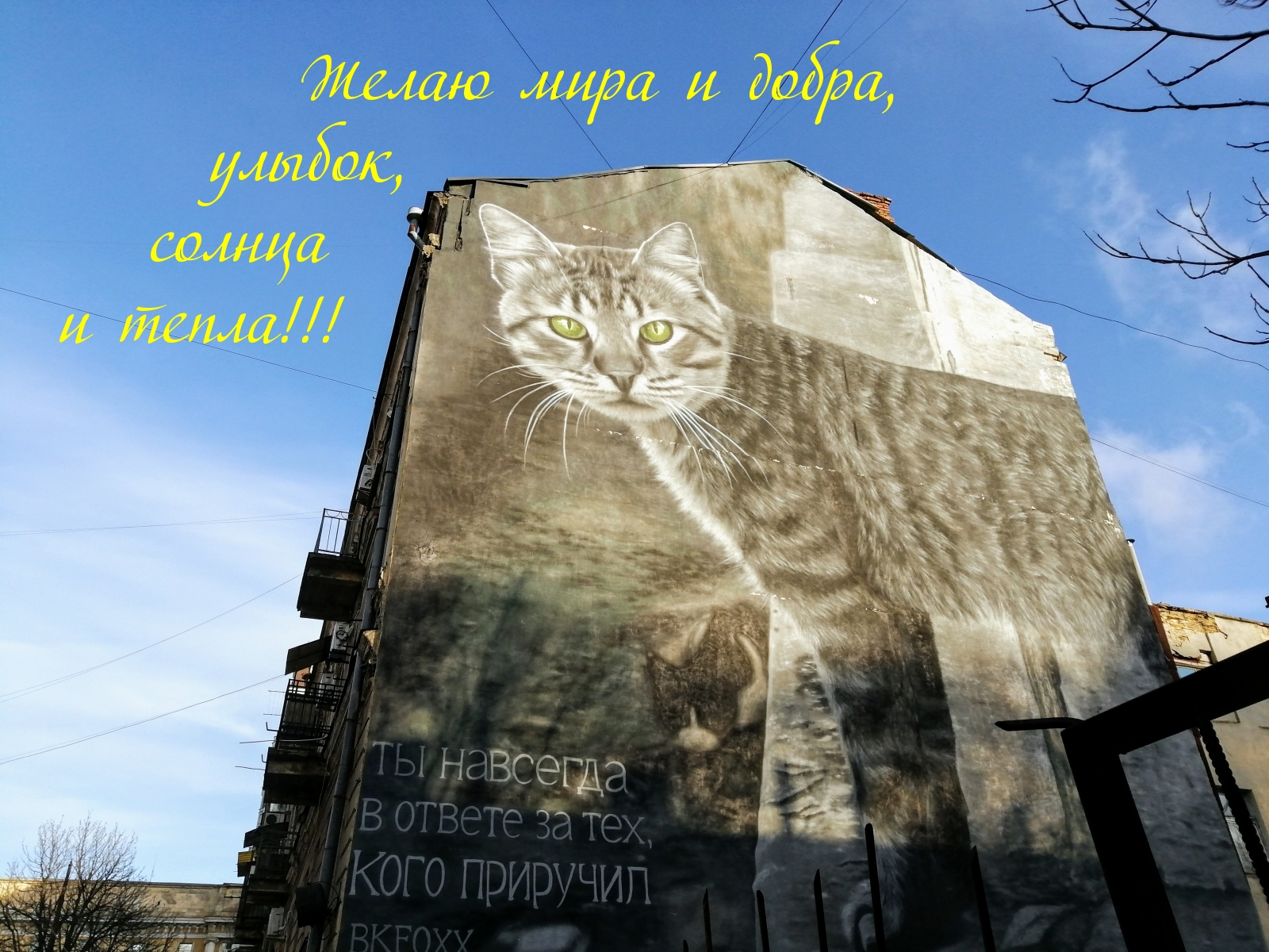 Желаю мира и добра, улыбок!