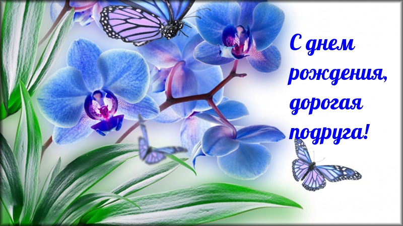 С днем рождения, дорогая подруга!