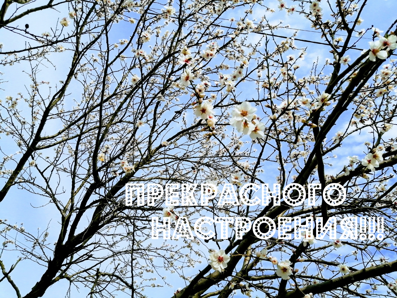 Прекрасного настроения!