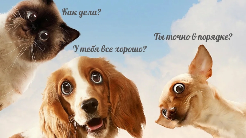 У тебя все хорошо?
