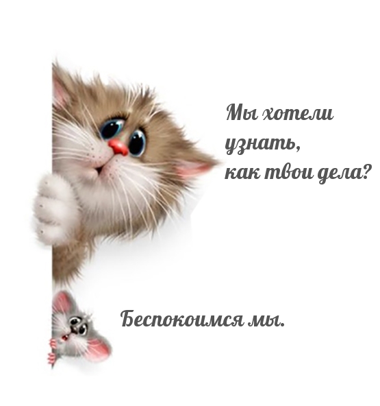 Картинки с надписями.  Мы хотели узнать, как твои дела?.