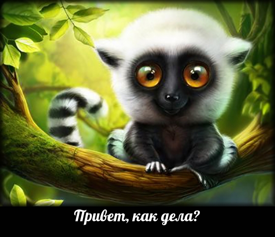 Привет, как дела?