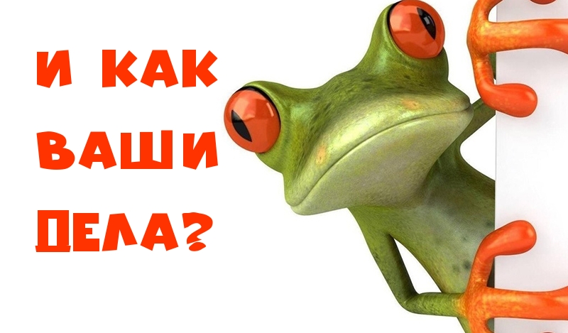 И как ваши дела?