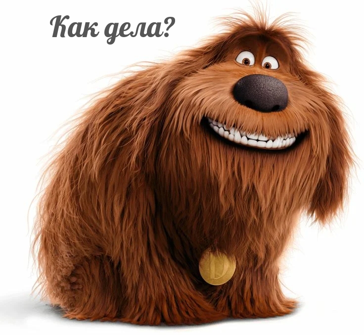 Как дела?