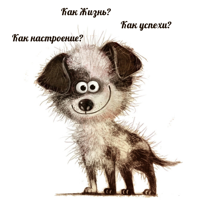 Как Жизнь? Как успехи?