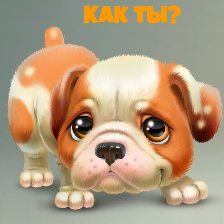 Как ты?