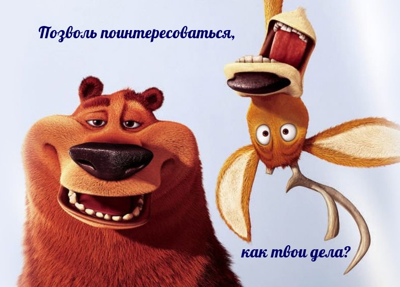 Позволь поинтересоваться, как твои дела?
