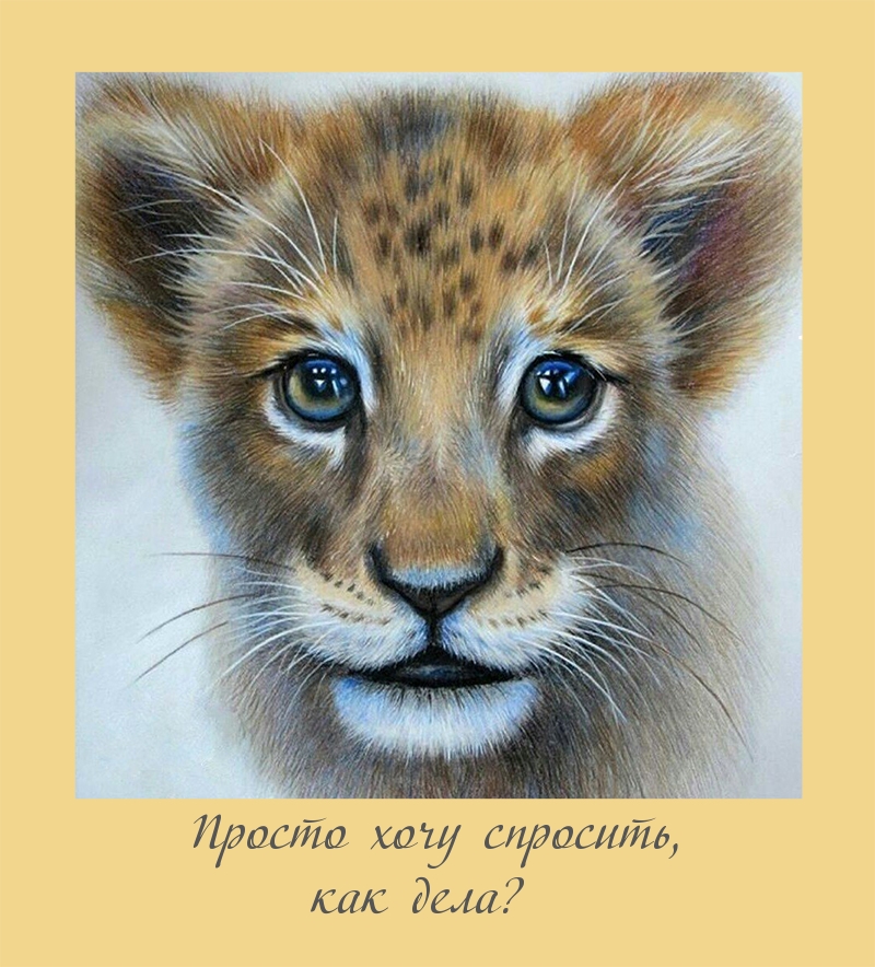 Просто хочу спросить, как дела?