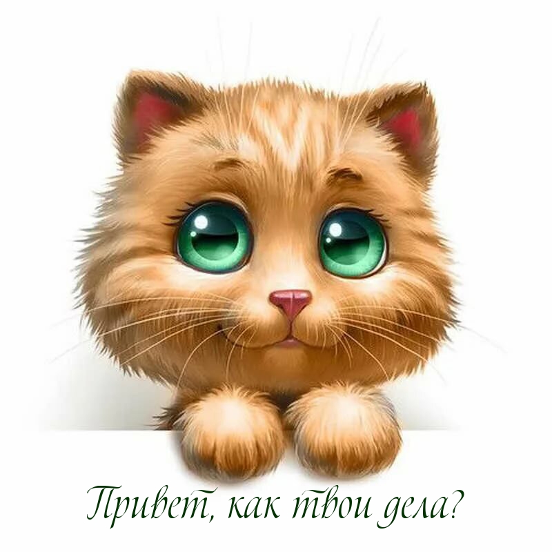 Привет, как твои дела?