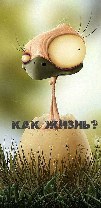 Как жизнь?