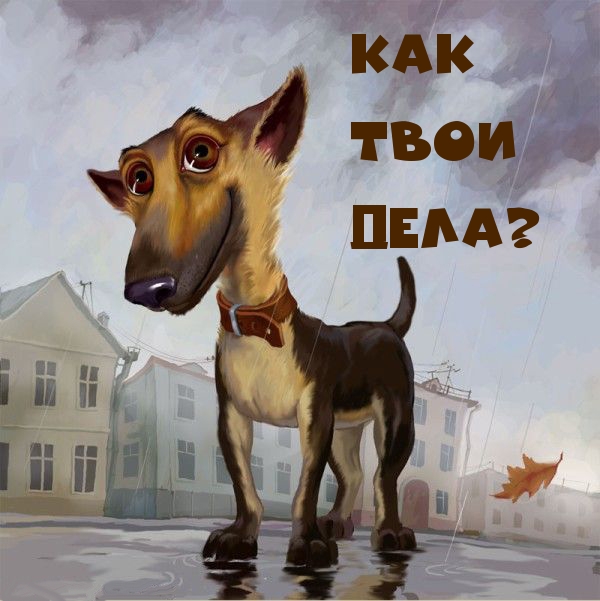 Как твои дела?