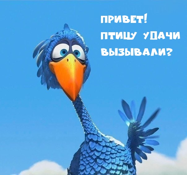 Привет! Птицу удачи вызывали?