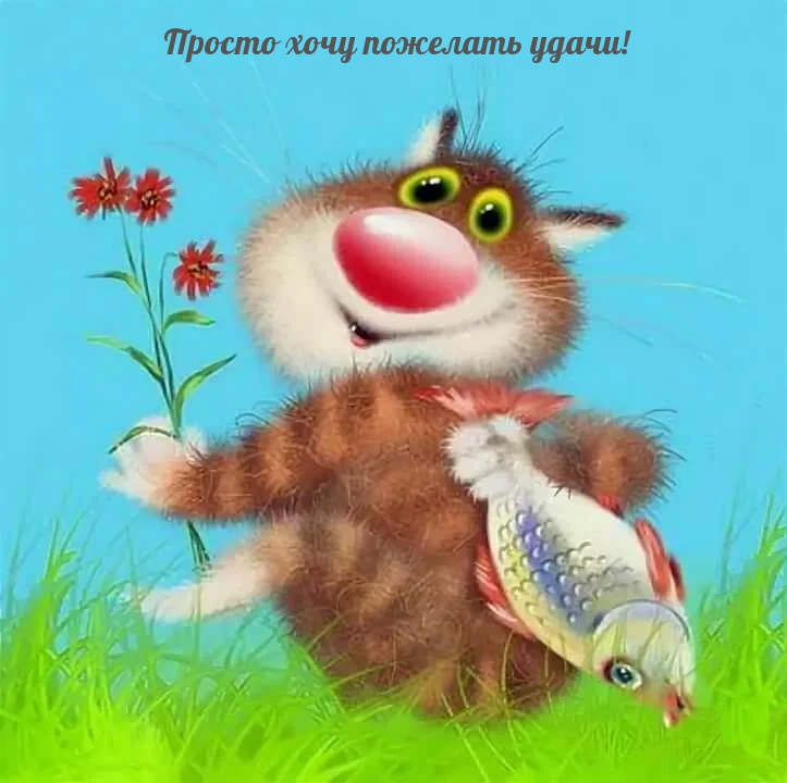 Просто хочу пожелать удачи!