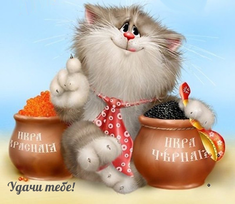 Удачи тебе!