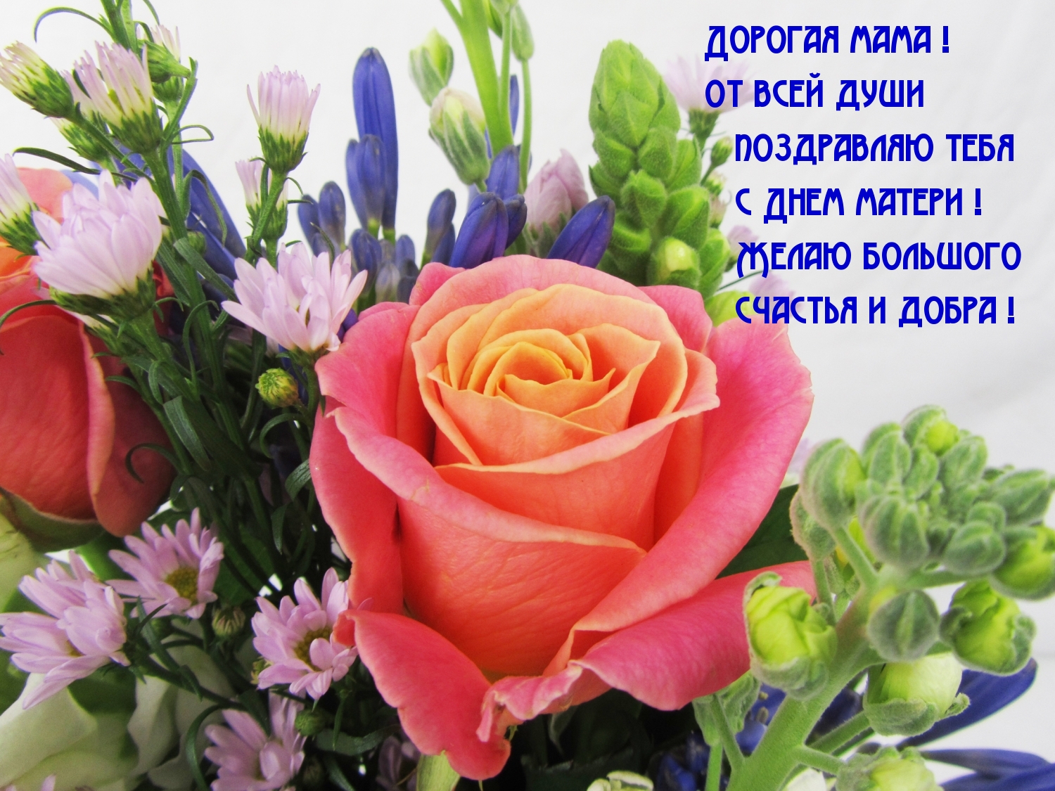 Поздравляю тебя с Днем матери !