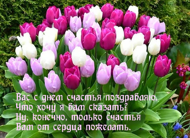 Ну, конечно, только счастья!