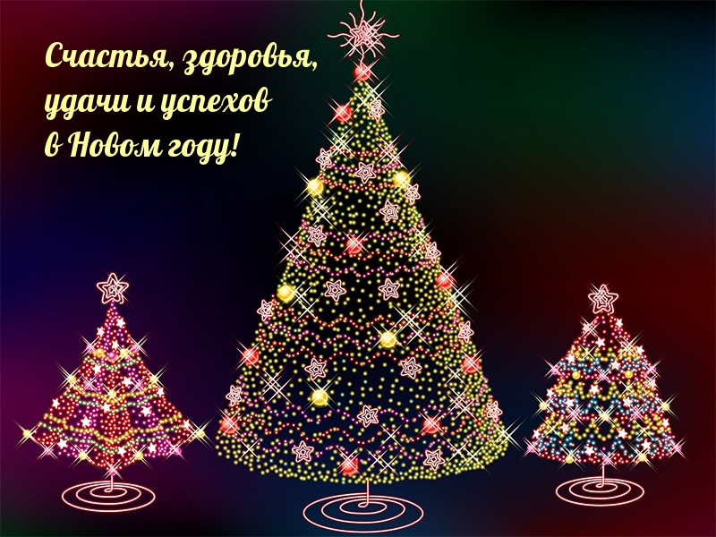 Счастья, здоровья, удачи и успехов в Новом году!