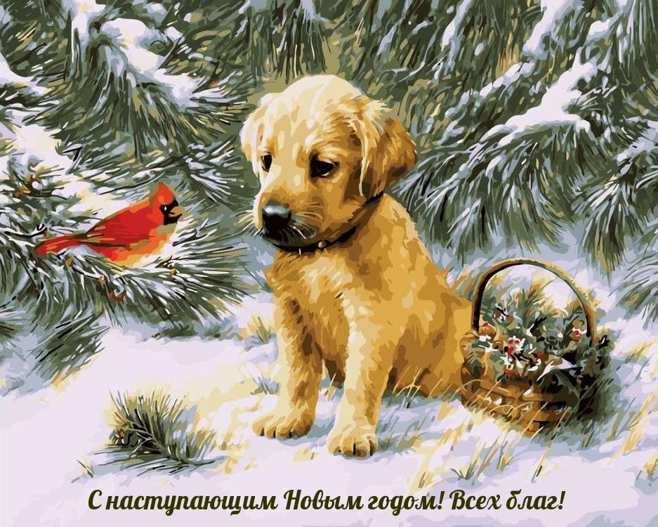 С наступающим Новым годом! Всех благ!