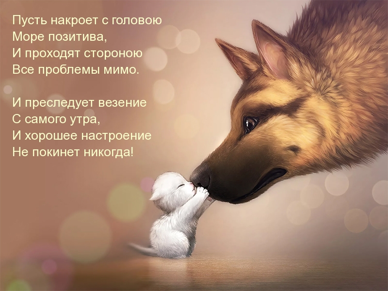 Пусть хорошее настроение не покинет никогда!