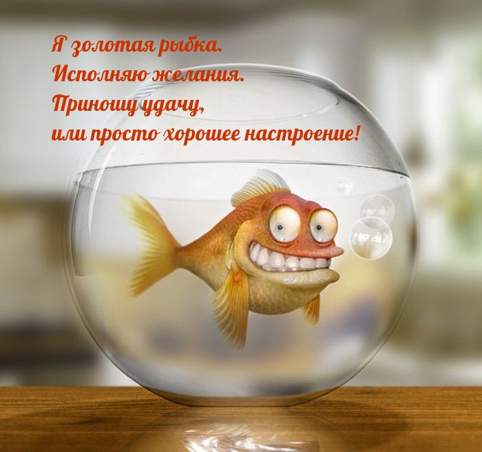 Это золотая рыбка, исполняет желание и дарит хорошее настроение