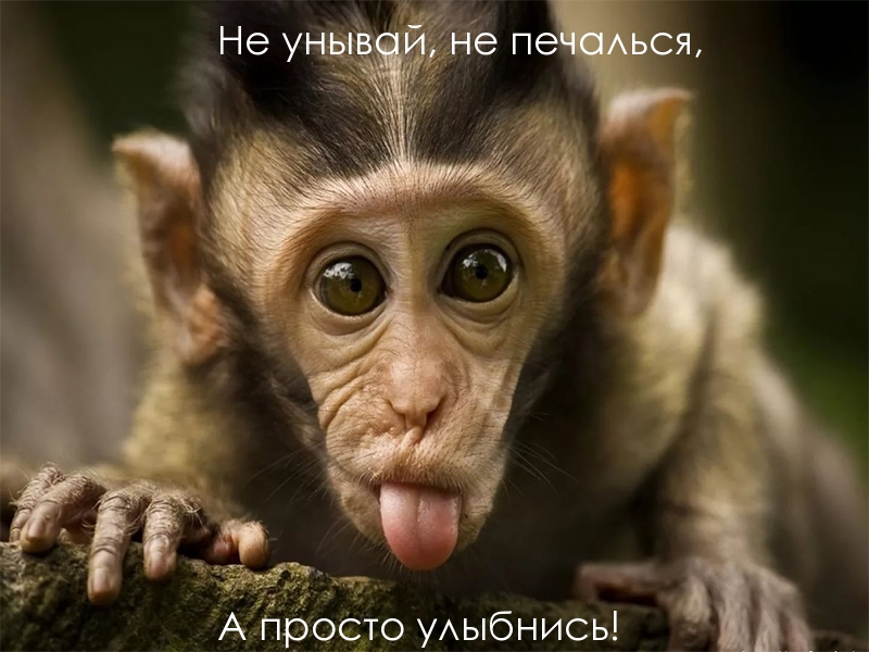 Не унывай, не печалься, А просто улыбнись!