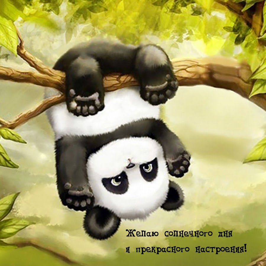 Желаю солнечного дняи прекрасного настроения!