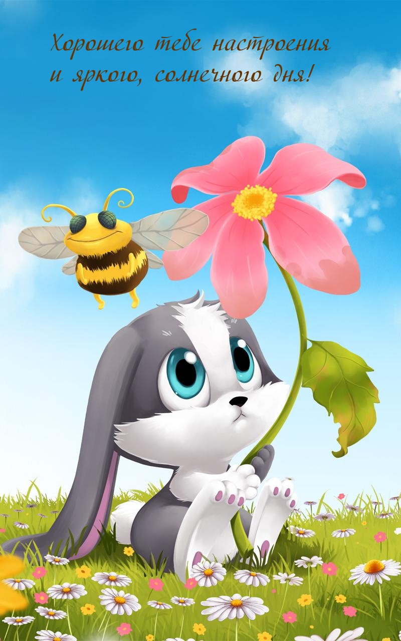 Хорошего тебе настроения и яркого, солнечного дня!