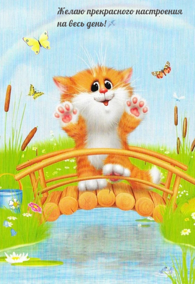 Желаю прекрасного настроения на весь день!