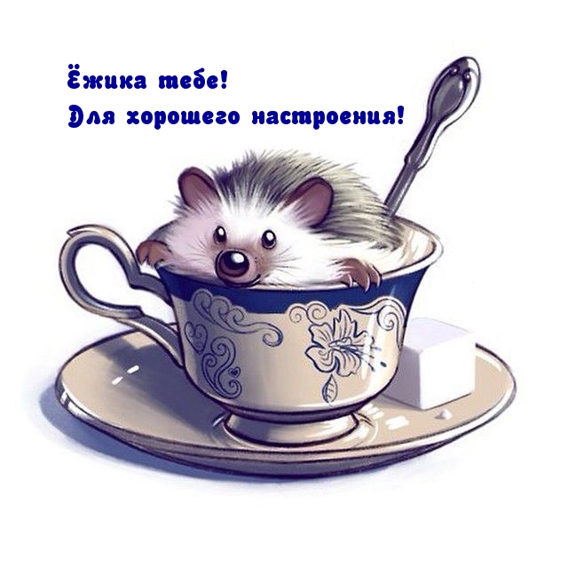 Ёжика тебе! Для хорошего настроения!