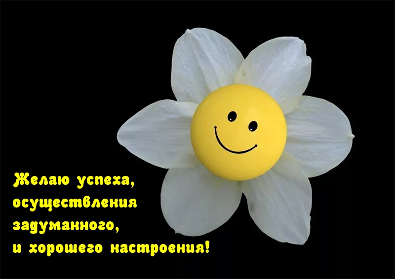 Желаю успеха и хорошего настроения!