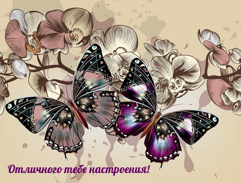 Отличного тебе настроения!