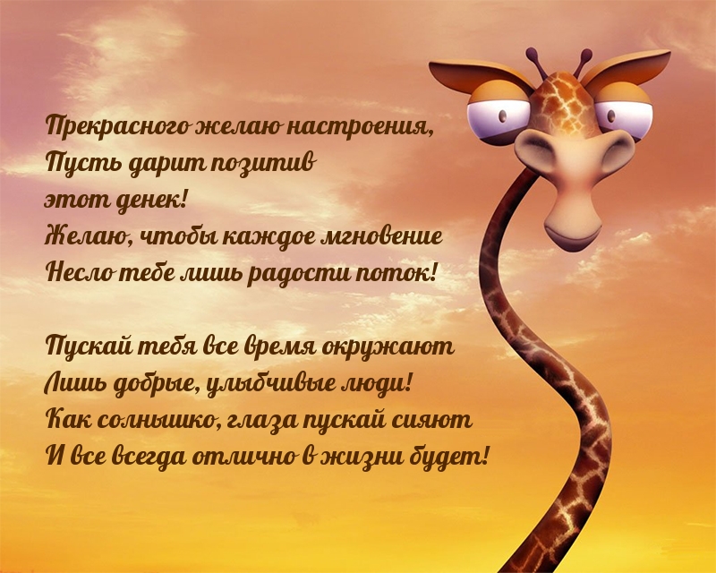 Прекрасного желаю настроения! Позитива!