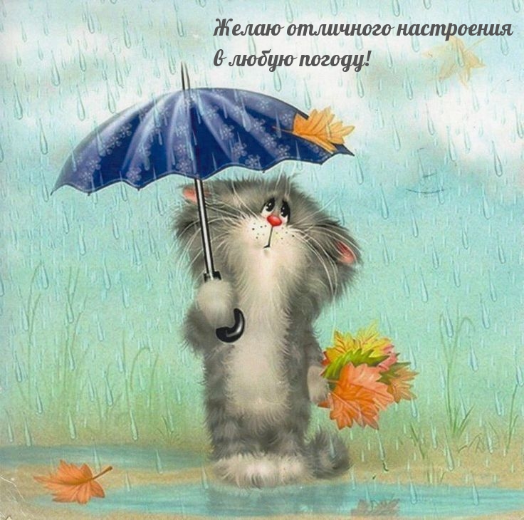 Желаю отличного настроения в любую погоду!