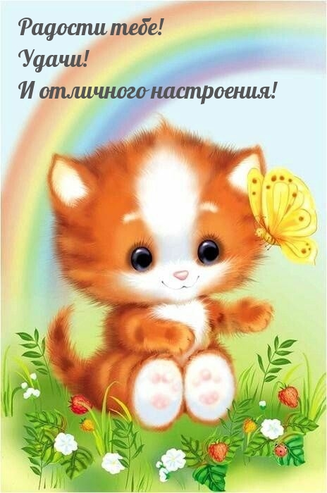 Радости тебе! Удачи! И отличного настроения!