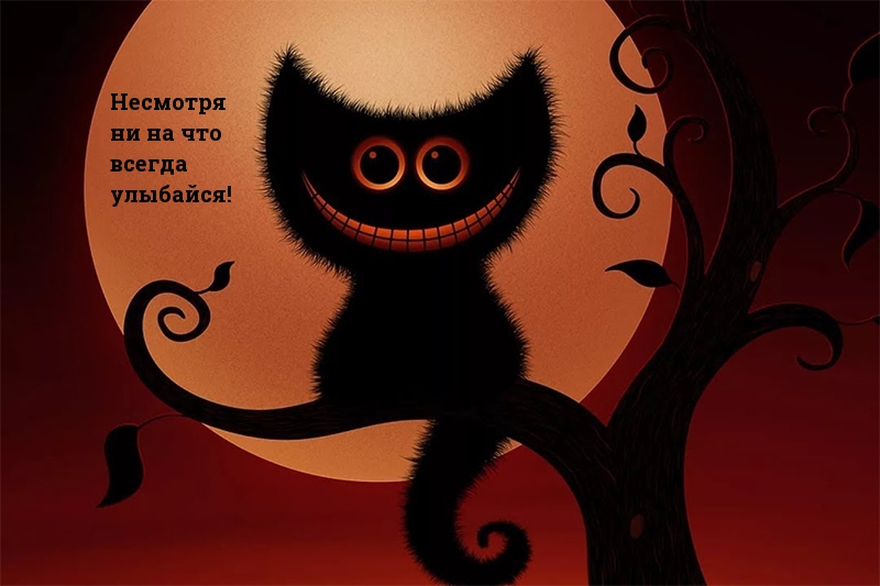 Несмотря ни на что всегда улыбайся!