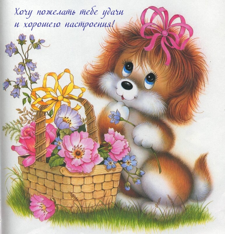 Хочу пожелать тебе удачи и хорошего настроения!