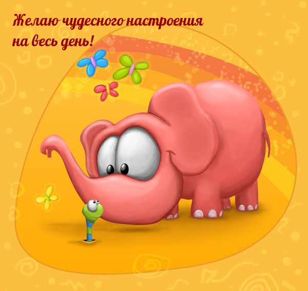 Желаю чудесного настроения на весь день!