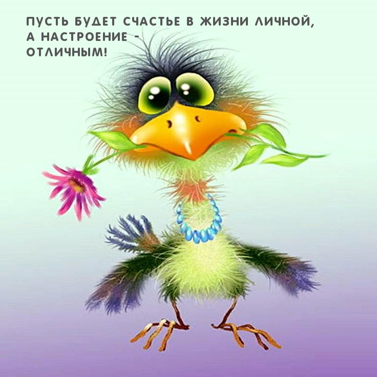 Пусть будет счастье в жизни личной, а настроение — отличным!