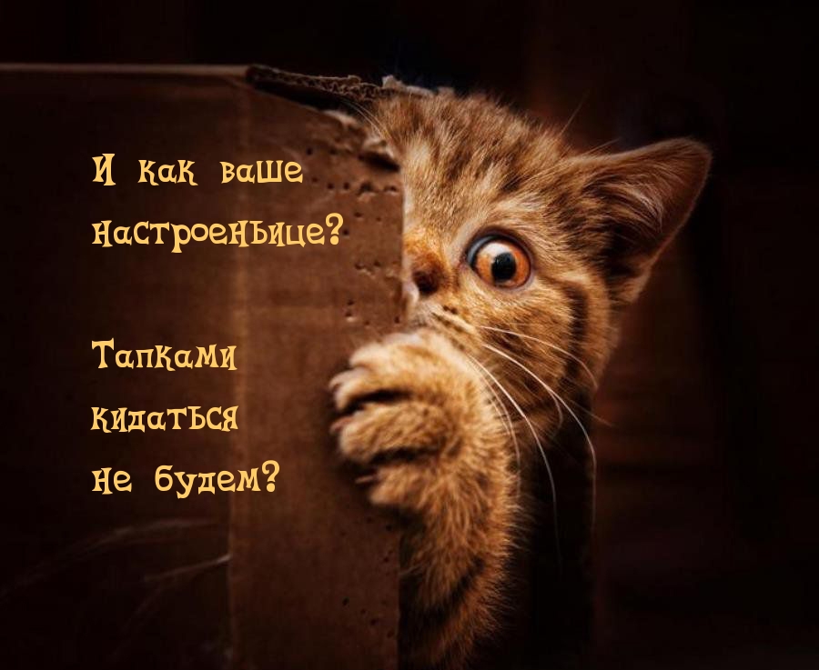 И как ваше настроеньице?
