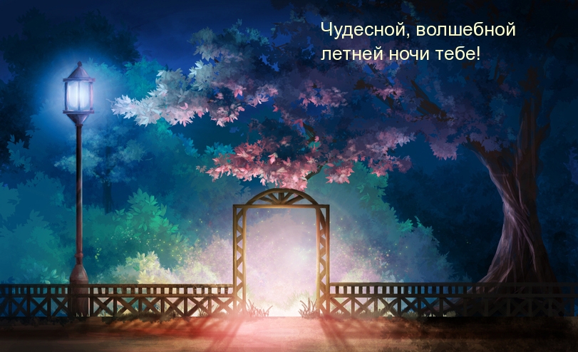 Чудесной, волшебной летней ночи тебе!
