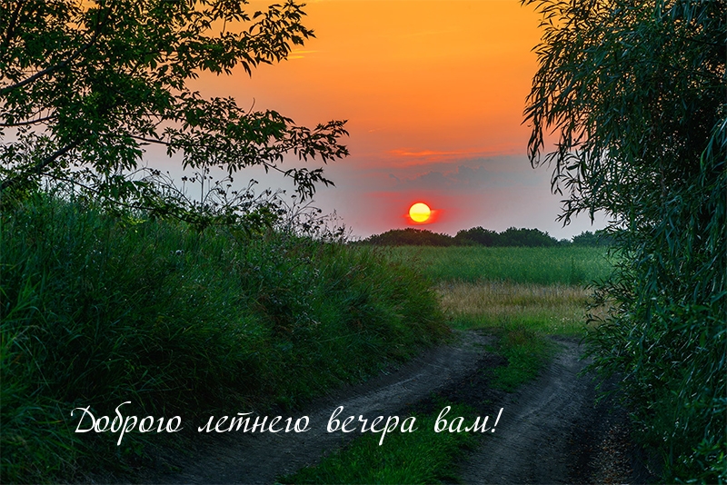 Доброго летнего вечера вам!