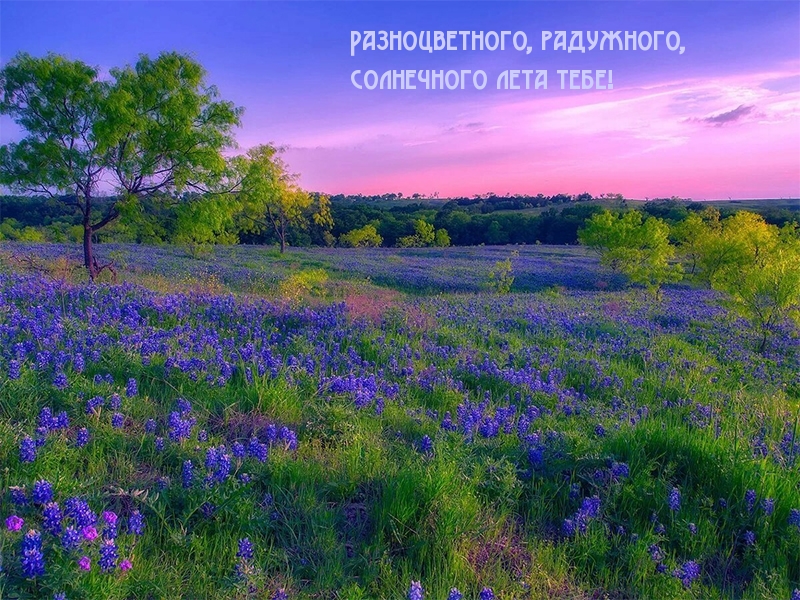 Разноцветного, радужного, солнечного лета тебе!
